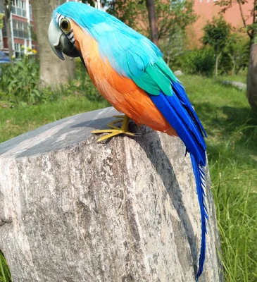 Около 32 см orange синие перья попугай ручной работы модель этап опору, дома и сада игрушка w0898