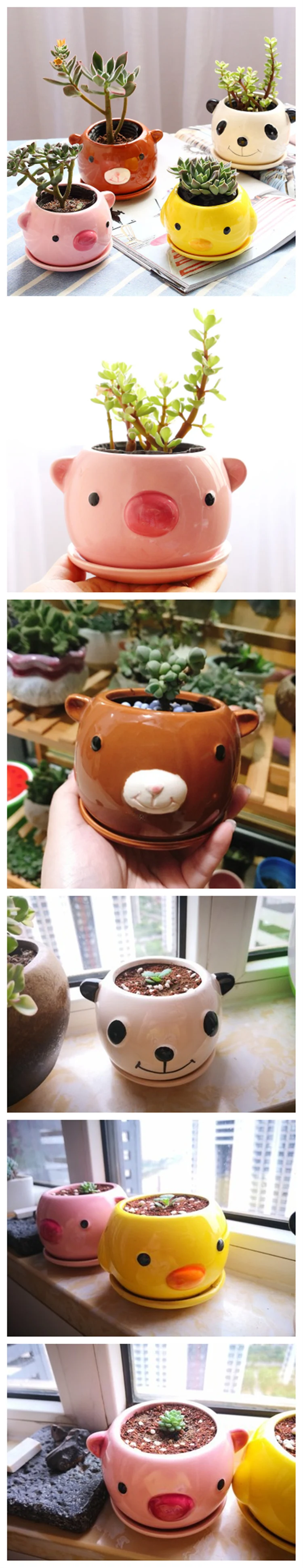 9066531898_1287787238_副本
