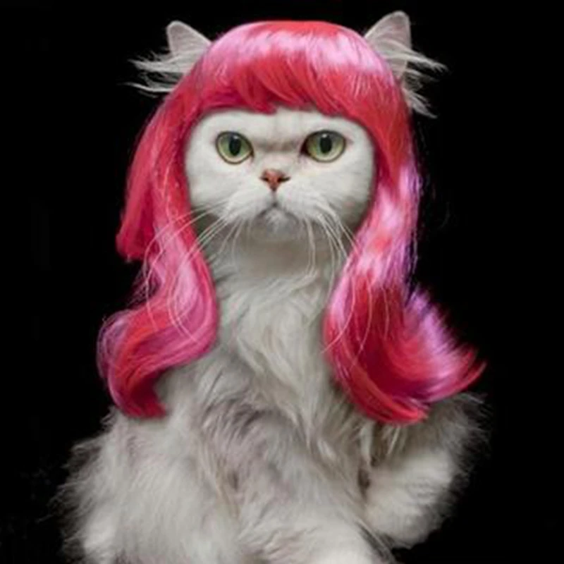 [MPK парики в виде кота] розовый парик для кота, парик для домашних животных, Забавный парик, розовые вьющиеся волосы для домашних животных