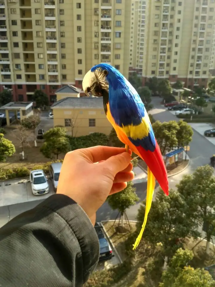 new simulation blue&orange parrot model foam&feathers parrot bird about 30cm