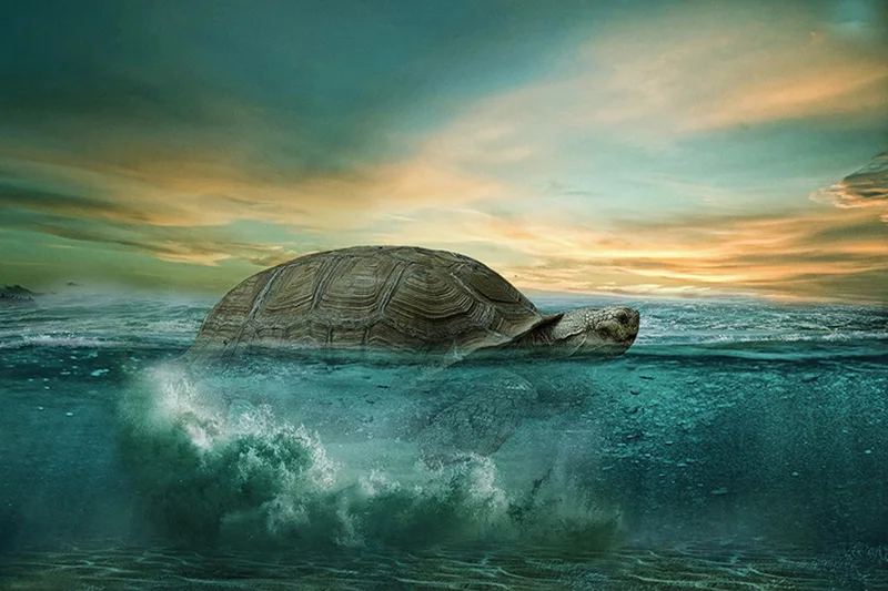 

5d Diamond Embroidery Turtle Animals Crystal Cross Stitch Full Square Diamond Painting DIY Sticker Decor Paintings