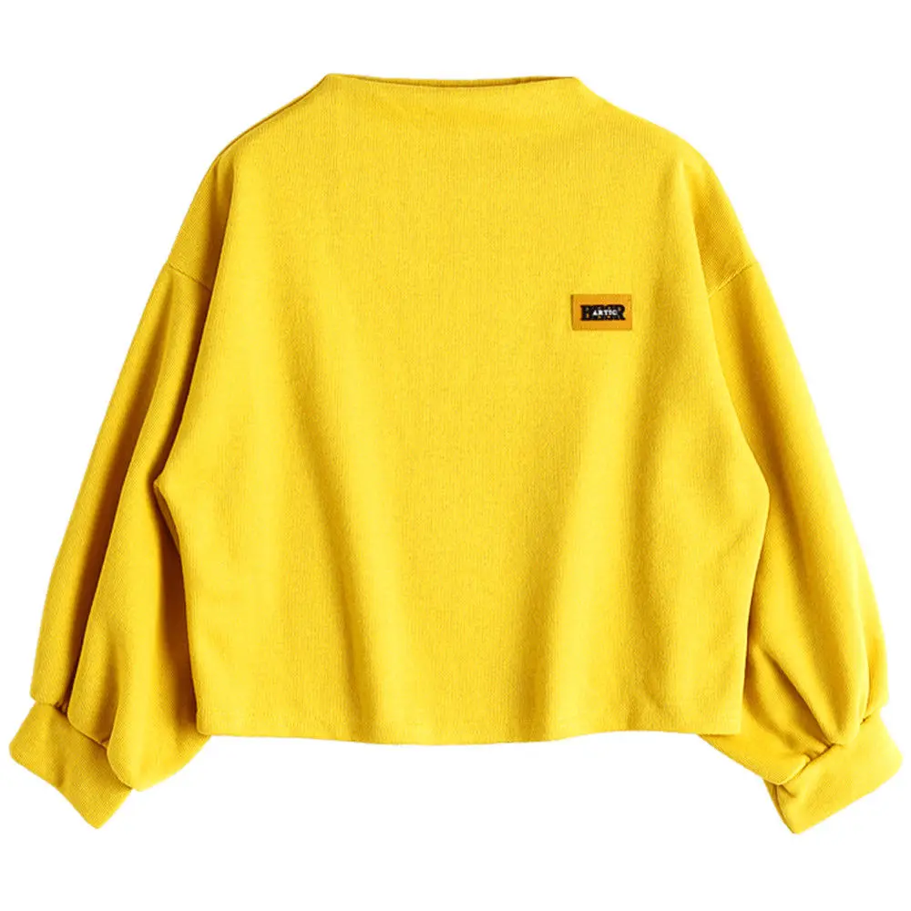 Autumn Women Lantern Sleeve Badge Sweatshirts Casual