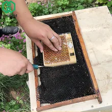 WHISM пластиковая клетка для пчелиной матки Rearing наборы 110 сотовых чашек коробка с пчелами ловушка для пчел Honeybee ловушка пчеловод пчеловодство инструменты