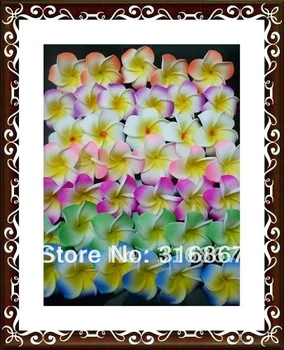 

hot sell .mixed color Plumeria flower Hawaiian Foam Frangipani Flower wedding party decor 4.8cm