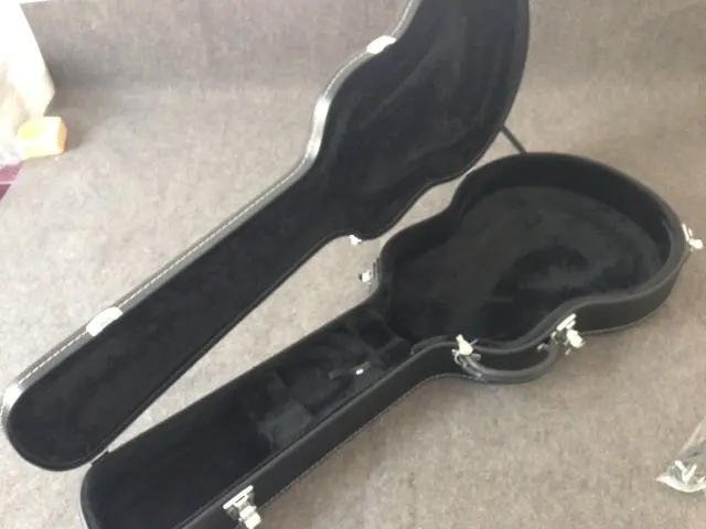 Best price at $109 Cheap ES-335 electric guitar hardcase black color