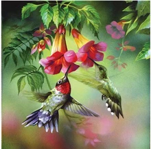 Vollbohrer DIY diamant malerei kreuzstich bild mit strass diamant mosaik kits diamant stickerei vogel
