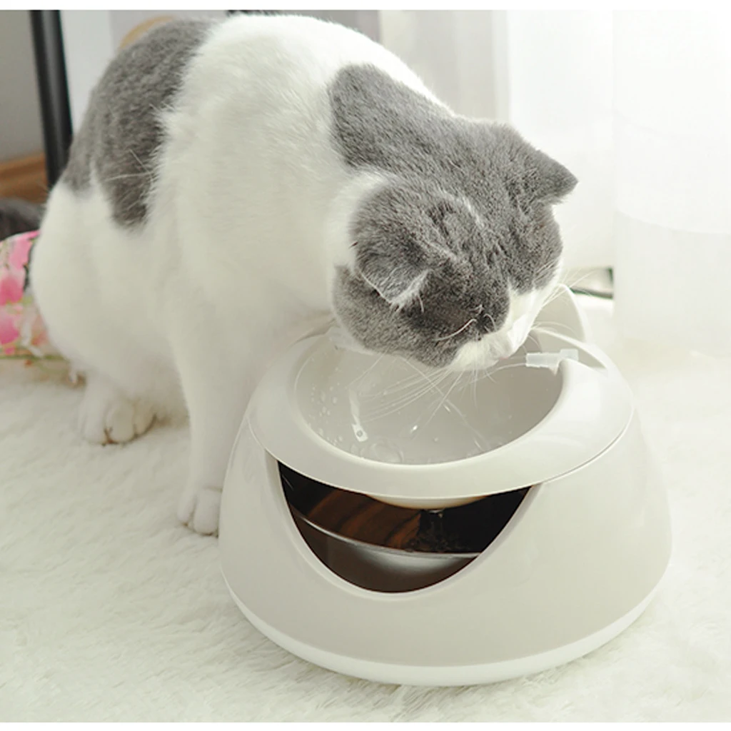 

Small Dog Cat Electric Water Fountain For Cats USB With Luminous Light Pets Rabbit Cat Automatic Feeders Ispenser Drinking Bowls
