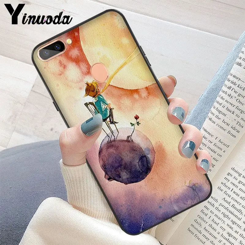 The Little Prince and the Fox
