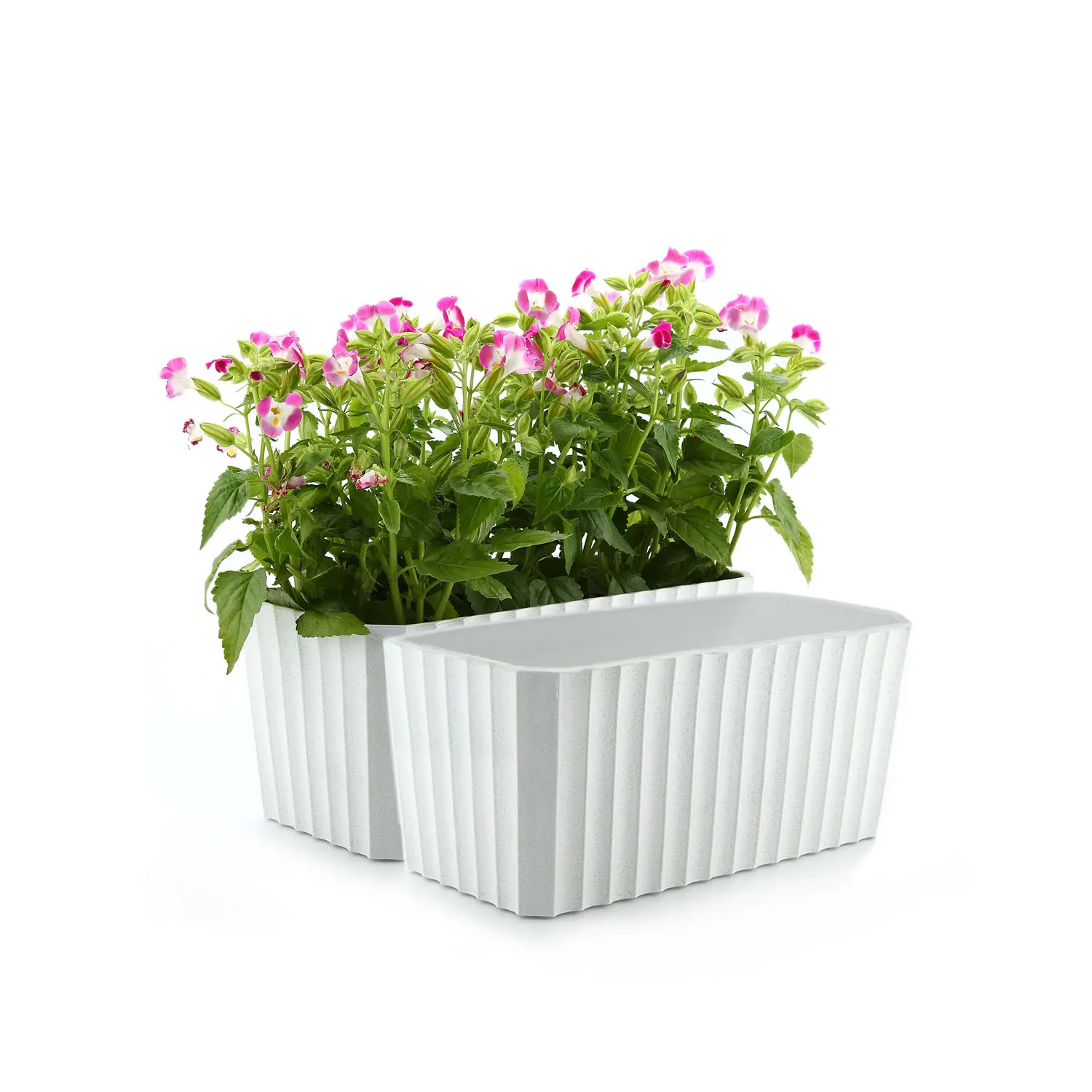 

T4U Plastic Rectangular Self Watering Window Box with Water Level Indicator White Modern Decorative Planter Pot Set of 2