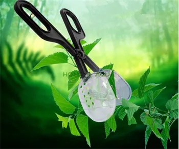 

Reptile supplies Climb pet clip Breeding reptile insect breadworm breeding insect clip Fecal handling clip Good quality