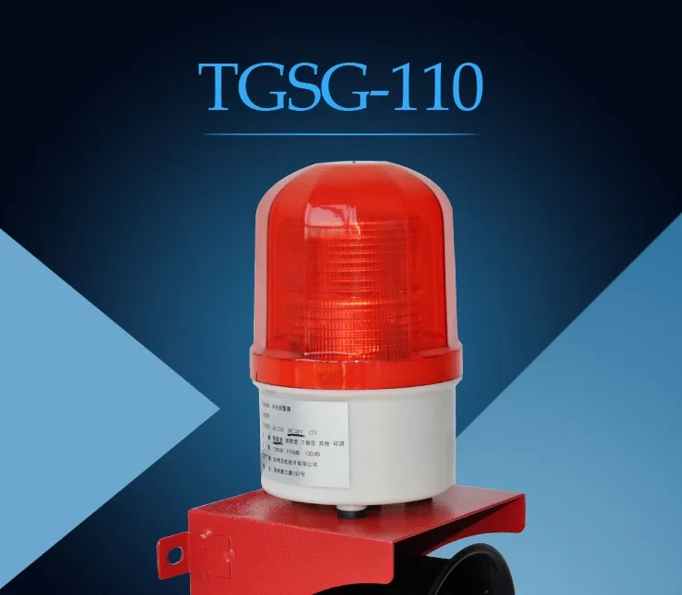 TGSG-110_01