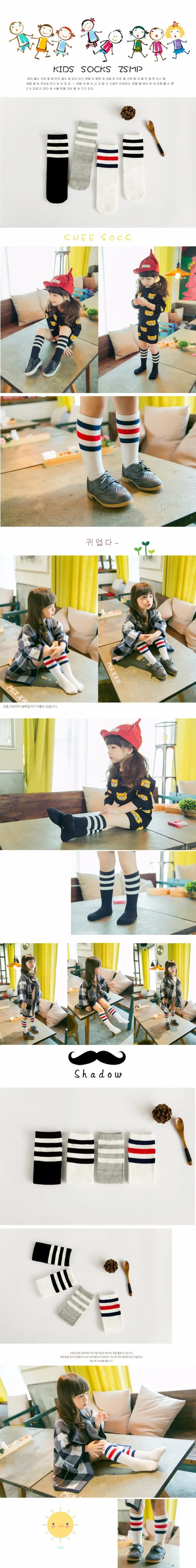 3083124548_1478154934