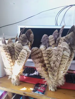

sell 200 pc quality natural owl feathers, 10-14inches / 25-38cm, DIY jewelry decoration