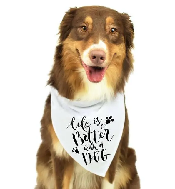 Customize wedding Save The Date Dog Bandana, Save The Date Engagement Photo Props, Save The Date Sign, Dog Engagement Photo - Цвет: better with a dog