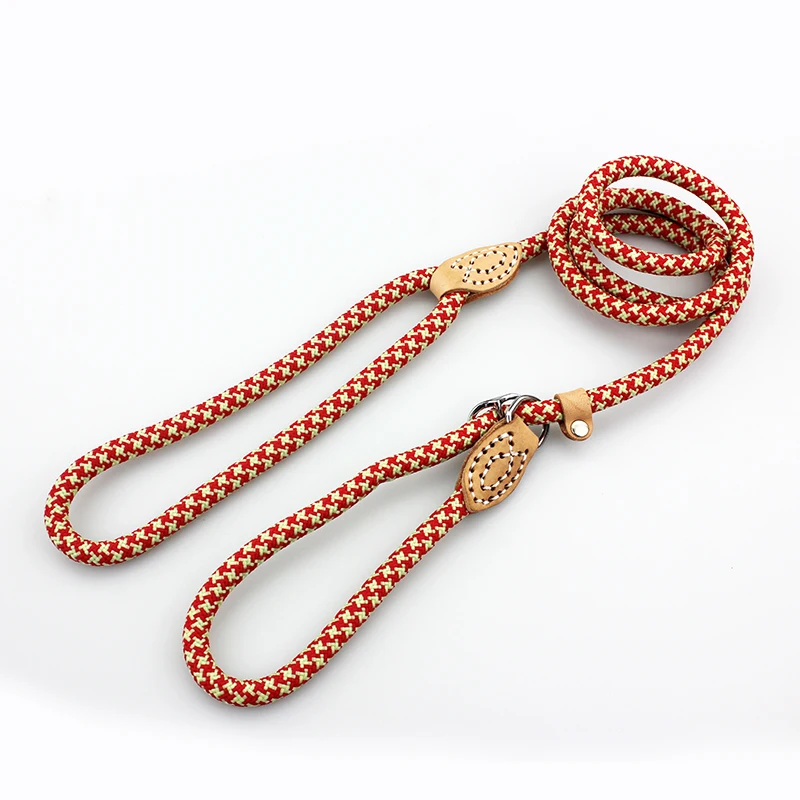 dog leash 6-1
