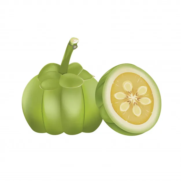 

NEW Product 100% Pure Garcinia Cambogia Extract for slimming- Maximum Strength 80% HCA Natural product (2 bottles/lot)