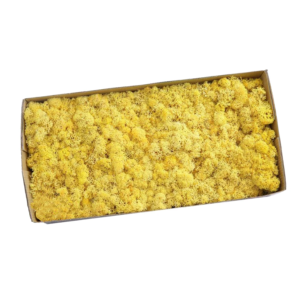 Natural Norwegian Reindeer Moss Preserved Dried Crafts Flower Stamen DIY Micro Landscape Decoration Wedding Party Supply 