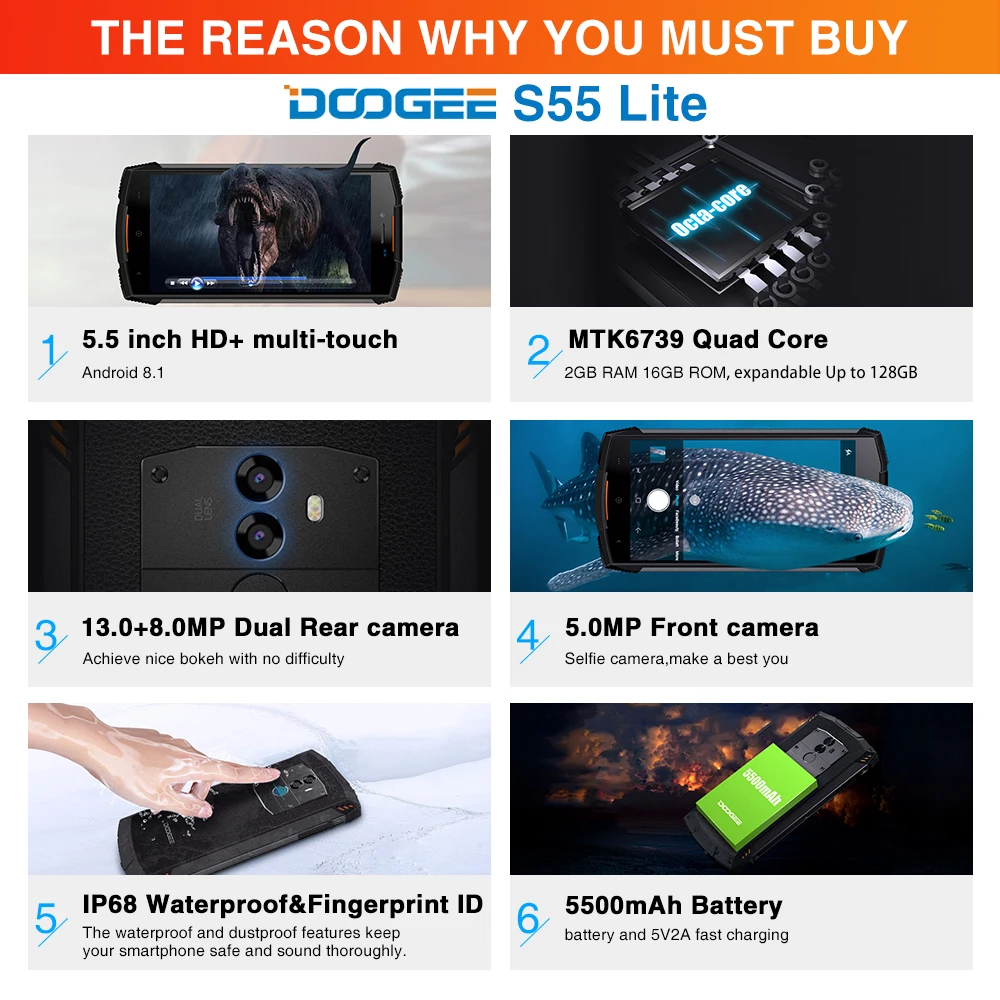 HTB1P1spvljTBKNjSZFNq6ysFXXae