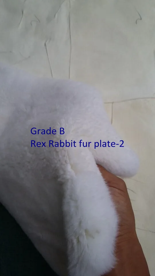 Grade B-1 (2)