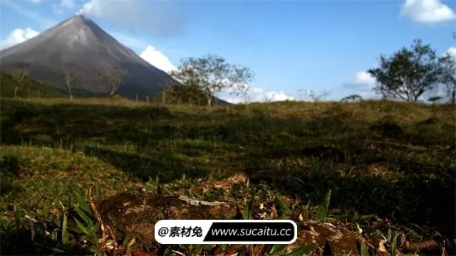 蚂蚁搬家高清实拍视频素材