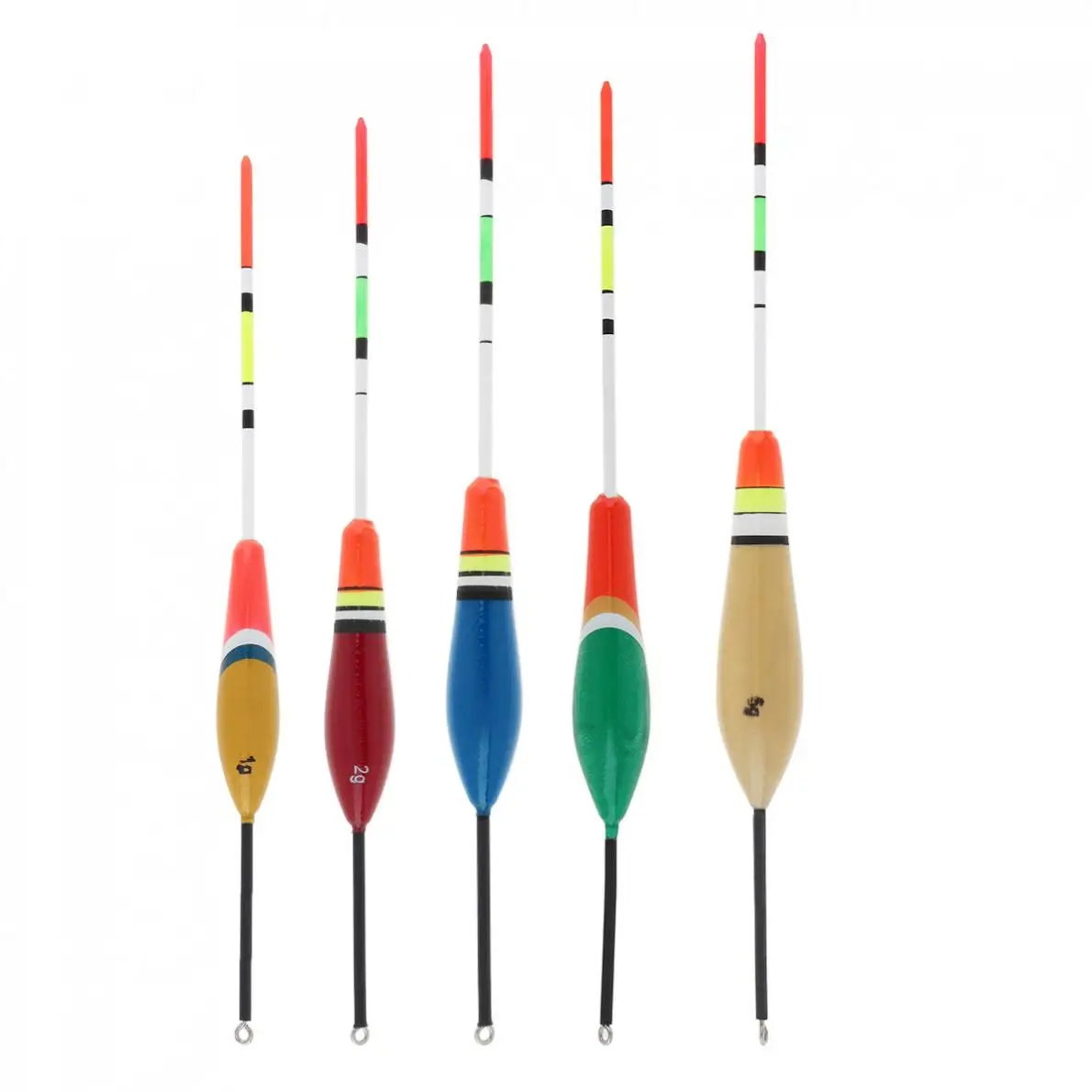 24903-first-1-l2.jpg