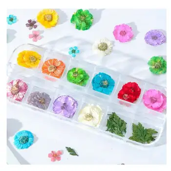 

12colors Dried Flower Glitter Sequins Nail Art DIY Resin Jewelry Stuff Pendant Handmade Craft Cosmetic Decor Phone Case Decoden