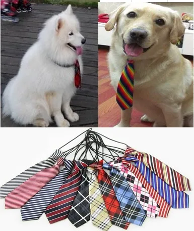 big dog accessories big dog accessories