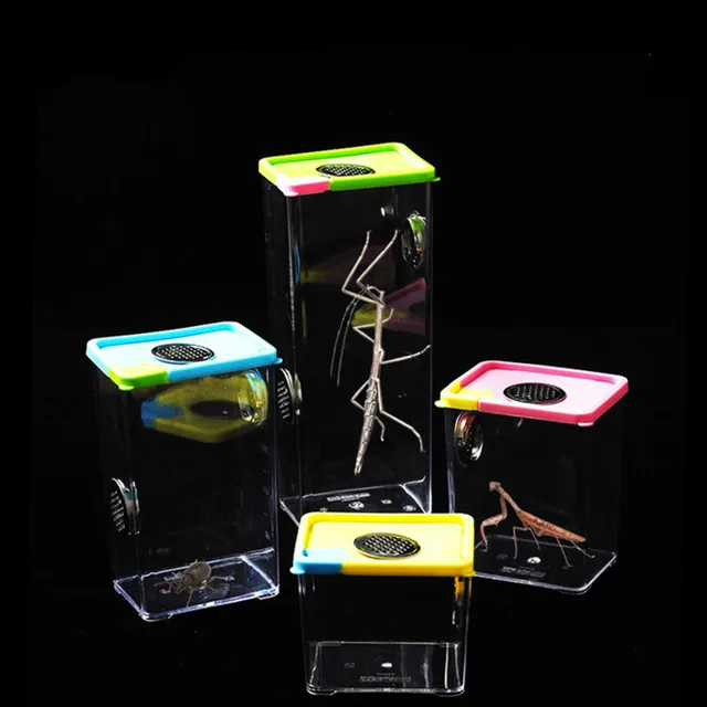 1PCS Spider rearing box Pet Praying Mantis jumping Wild picking box