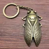 Cicada