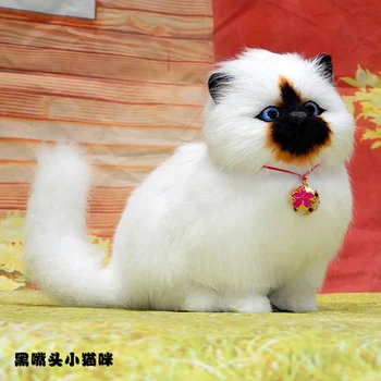 

Plush toy Simulation of cat plush is called desktop will be called Kitty model statues sculpture Home wedding decoration dies