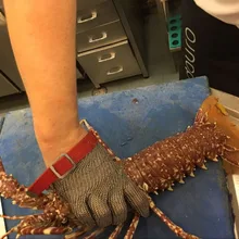 Анти-режущая ручная безопасная hongcho брендовая нержавеющая сталь морепродукты перчатка для лобстеров цепь почтовые перчатки