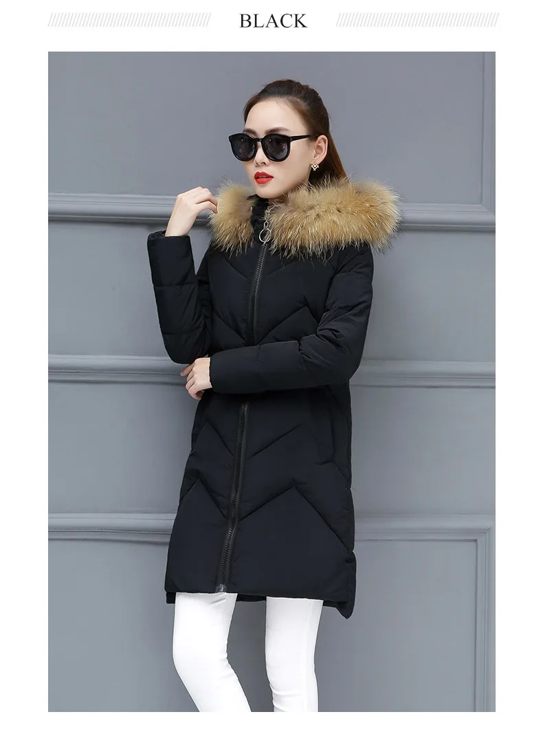 Padded Long Winter Coat Women Plus Size 3XL Ladies Coats With Fur Fake Collar Hooded Jacket Zipper Coat For Female 2018 New CH601 (8)