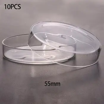 

10pcs 55mm Laboratory Plastic Petri Dishes Affordable For Cell Clear Sterile Chemical Instrument Lab Supplies