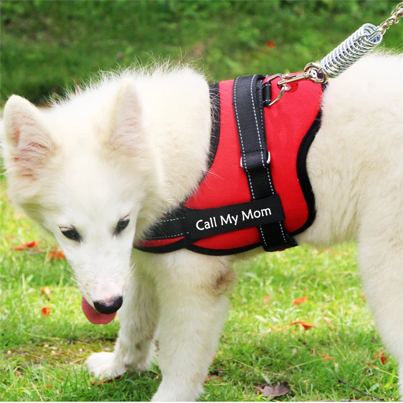 

Big Dog Soft Adjustable Pet Name Harness Dog Strap Vest Reflective Personalized Harness for Large Dogs Pitbulls with Leash Lead