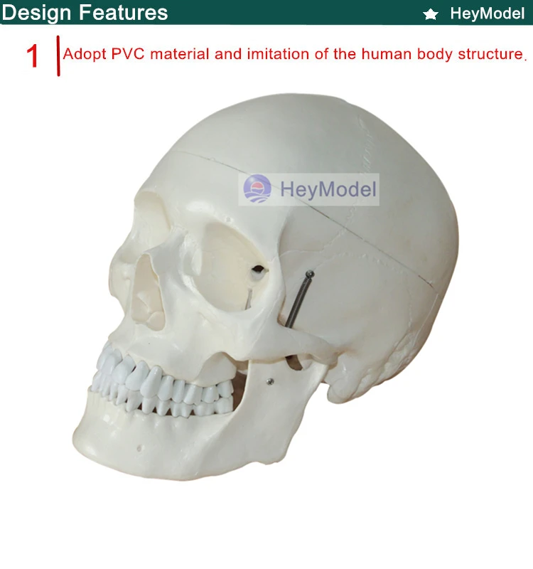 1.PVC_