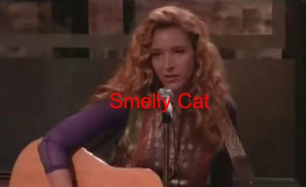Новое качество друзья керамическая кофейная кружка чашка Phoebe Buffay вонючий кот