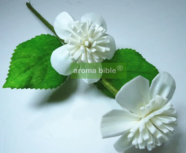 1000 Pcs Lot Handmade Sola Wood Flowers For Fragrance Diffuser And Home Decor With 12cm Rope Or Rattan Reed Sticks Top Quality Flowers For Flower Flowerfor Flowers Aliexpress
