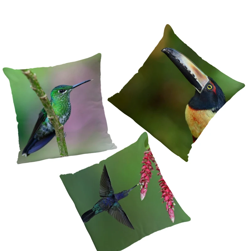 

Beautiful Bird Pillowcase Flamingo Hummingbird Owl Living Room Decoration Cushion Set Toucan Peacock Peach Fleece Throw Pillow