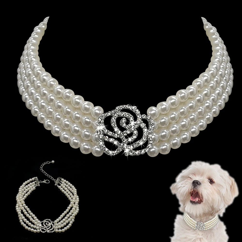 pearl dog
