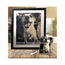 Алмазная вышивка полный набор для детей Распродажа ромбовидный живопись на заказ собственные картины из стразов мозаичная Полная площадь/круглый FG867