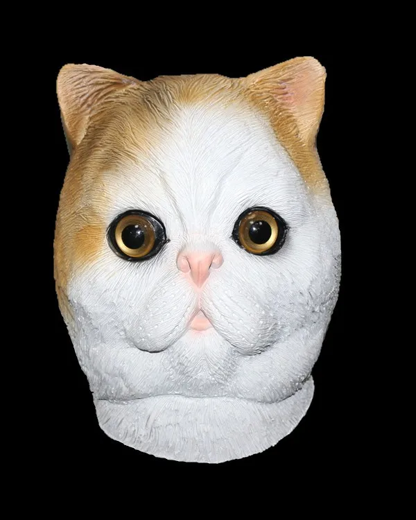 HY-AM107 Cat