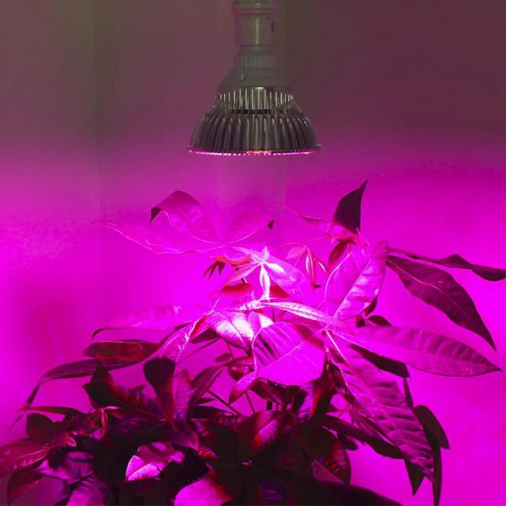 

Mini E27 5W / 9W / 12W / 24W / 45W Full Spectrum LED Grow Light For Hydroponics and Small Plants High Quality