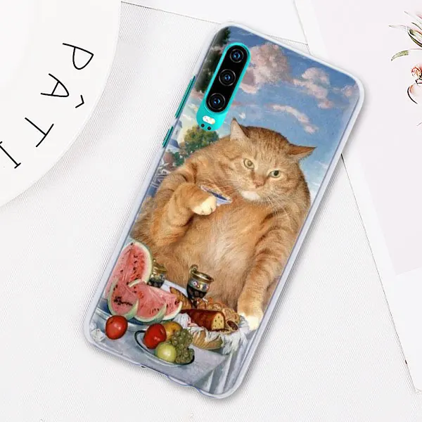 02 Чехлы для телефонов с забавным рисунком кота для huawei P30 P30 Pro P10 P20 Lite Nova 4e P Smart Plus View 20 - Цвет: 02