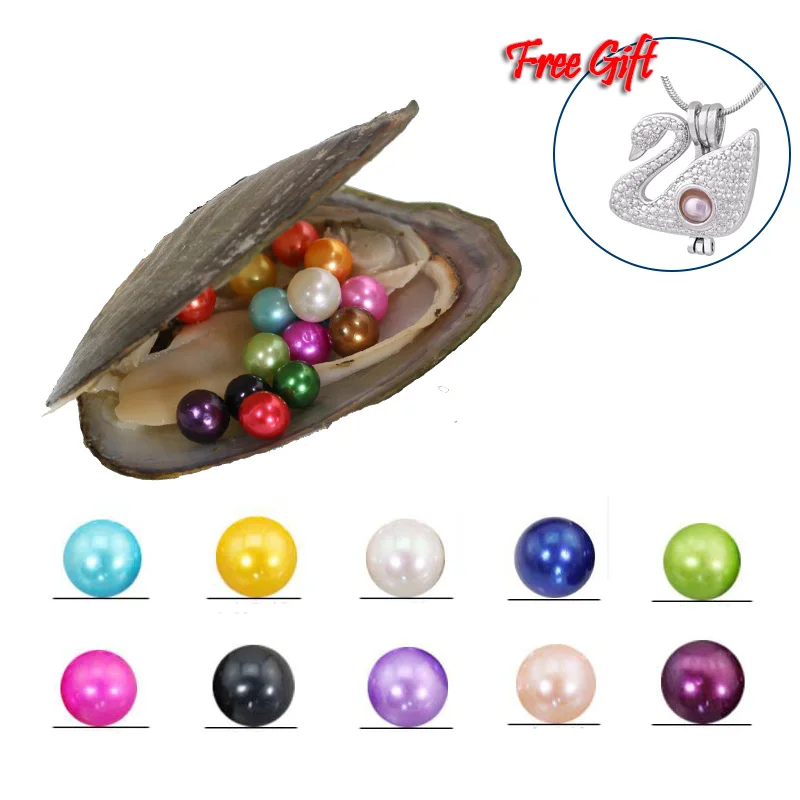 

20Pcs Single Pearl Oysters Mussel Shell With 6-7MM Akoya Wish Pearl Inside, Mix 20 Colors(5 Swan Cages as Free Gift) PJW312