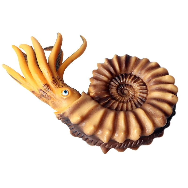 Моделирование морской жизни Модель раковины Nautilus Shell украшение куклы