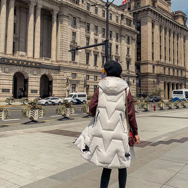 

Brieuces new Autumn Winter Spring Vest Women Waistcoat 2020 Female Sleeveless Jacket Hooded Warm Long Vest Colete Feminino