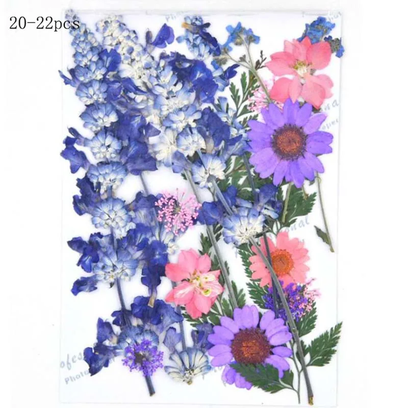 61