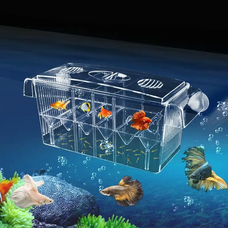 

Aquarium Fish Breeder Box for Baby Fish Hatchery Aquarium Isolation Box Incubation Box Acrylic Aquarium Breeding Box