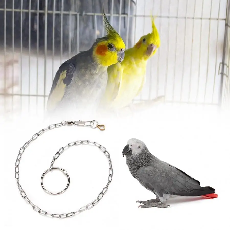 

Stainless Steel Pet Birds Foot Chain Anklet Training Harness Bird Accessories Bird Toy Supplies