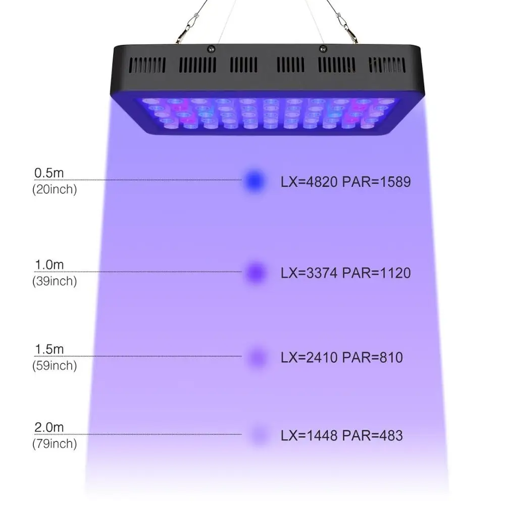 55x3W Dim Aqu (6)